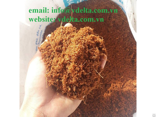 High Quality Coco Chips From Viet Nam