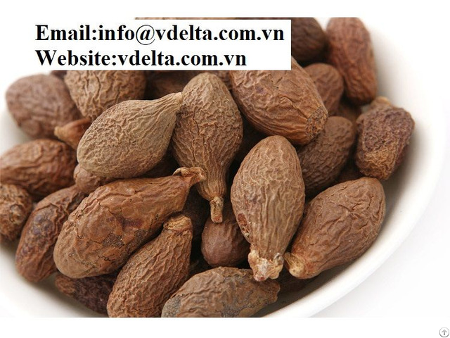 Natural High Quality Dried Malva Nut Viet Nam