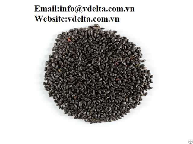 Natural High Quality Chia Seeds Viet Nam