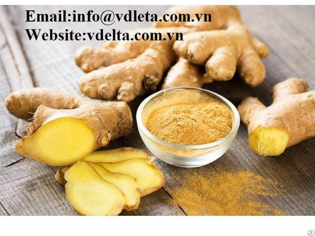 High Quality Ginger Powder Viet Nam Best Prices