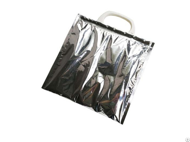 Plastic Thermal Bag With Insulated Foam