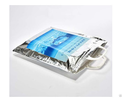 Aluminium Foil Thermal Bag
