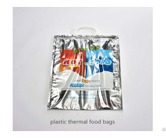 Hot And Cold Bag