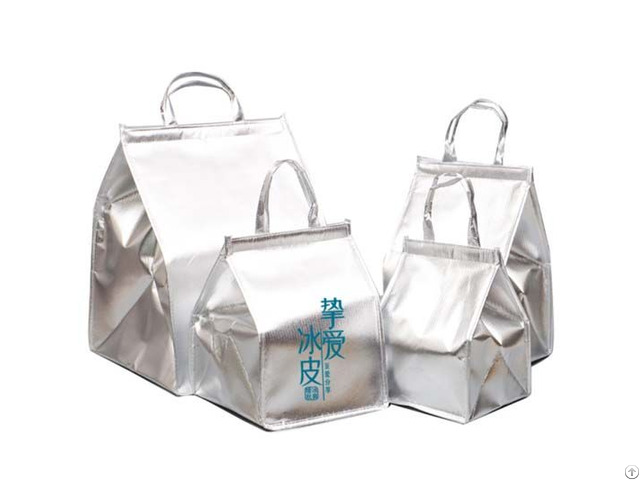 Silver Metallic Cooler Bag