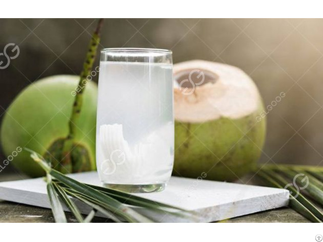 Automatic Coconut Water Extractor