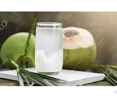 Automatic Coconut Water Extractor