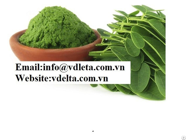 Organic Natural Moringa Leaf Powder Viet Nam