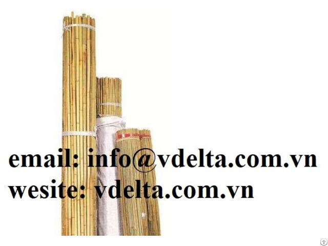 High Quality Dried Natural Bamboo Flower Garden Plant Sticks From Vietnam