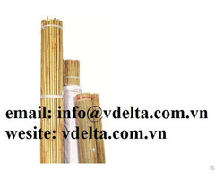 High Quality Dried Natural Bamboo Flower Garden Plant Sticks From Vietnam