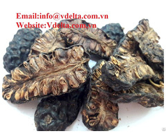 Dried Noni Fruits High Quality Cheap Price
