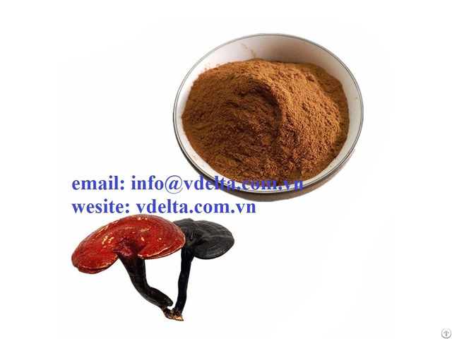 Good Quality Ganoderma Lucidumfrom Viet Nam