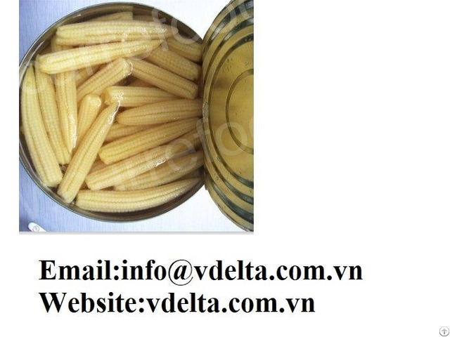 Canned Baby Corn In Brine Viet Nam