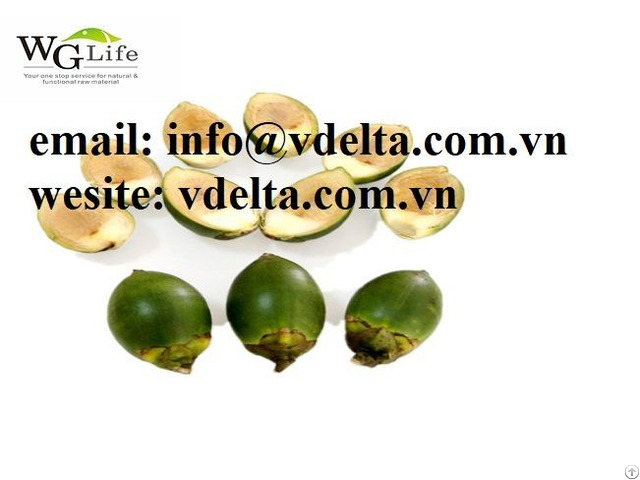 High Quality Betel Nuts From Viet Nam