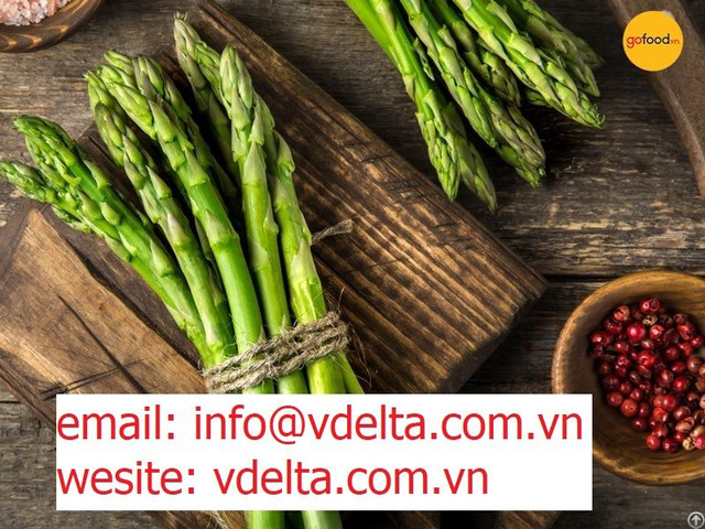 Best Quality Asparagus In Vietnam