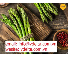 Best Quality Asparagus In Vietnam