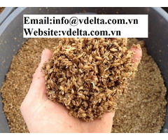 Viet Nam Beer Residue Feed For Animal With Rich Nutrition