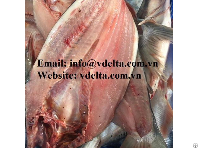 Frozen Butterfly Cut Basa Fish From Vdelta Vietnam