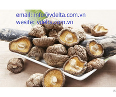 Dried Cordyceps Herbs From Viet Nam