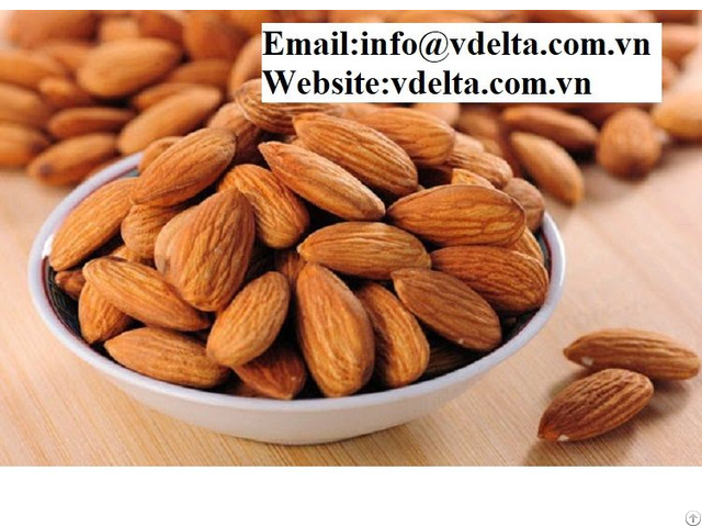 Viet Nam High Qualtiy Almond Nuts From Vietnam