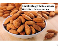 Viet Nam High Qualtiy Almond Nuts From Vietnam