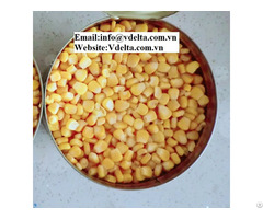 Viet Nam High Quality Canned Sweet Corn