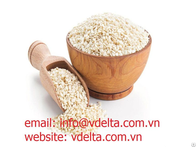 White Sesame Seed From Vietnam High Quality