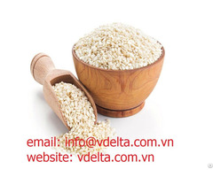 White Sesame Seed From Vietnam High Quality