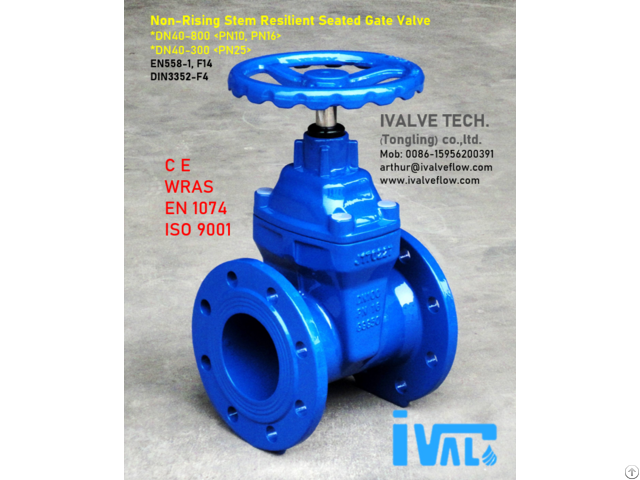 Non Rising Stem Resilient Seated Gate Valve