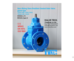 Non Rising Stem Resilient Seated Gate Valve Gland Type Dn40 800