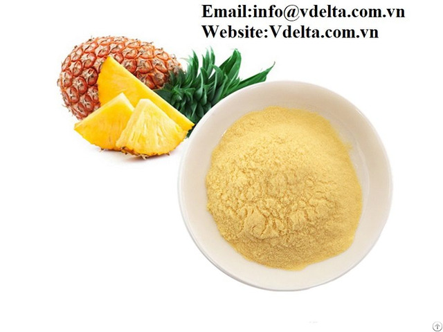 Viet Nam High Quality Pineapple Powder Best Price