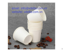 Hight Quality Biodegradable Cup