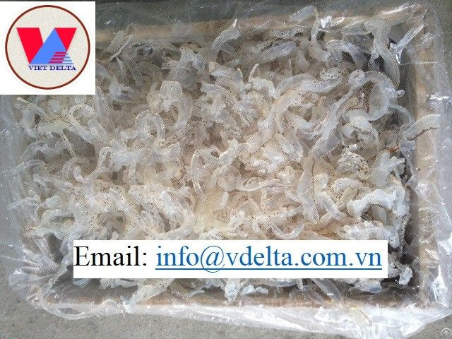 Salted Jelly Fish For Food Cheap Price