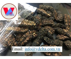 Dried Noni From Vietnam