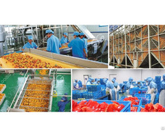 Commercial Orange Juice Extractor Line
