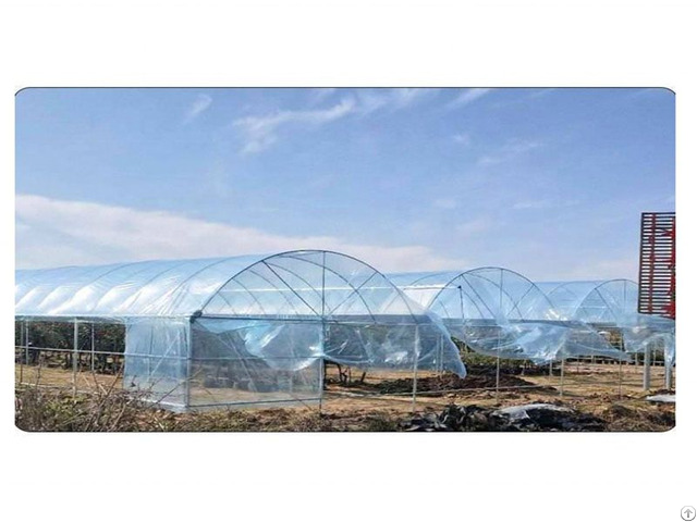 Green House Protect Pe Greenhouse Agriculture Film