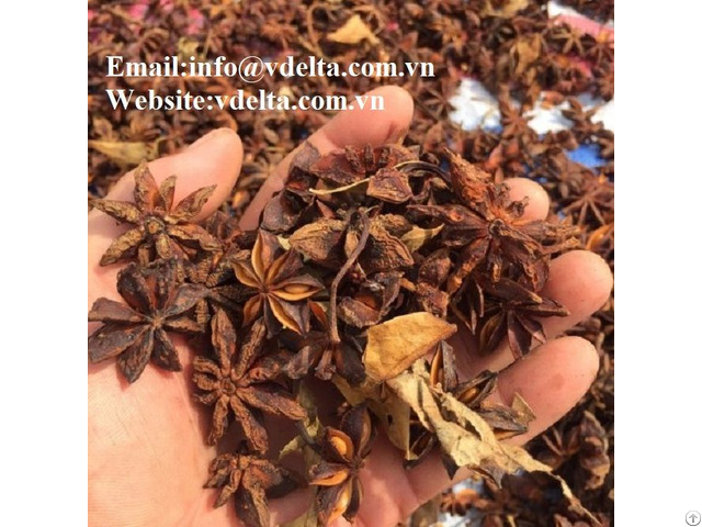 High Quality Star Anise Broken Best Price