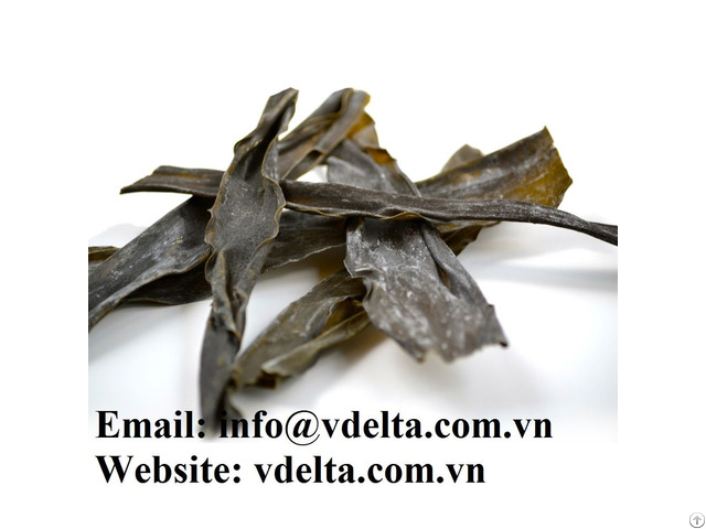 Dried Dashi Kombu Kelp Natural Seaweed