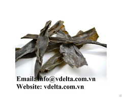 Dried Dashi Kombu Kelp Natural Seaweed