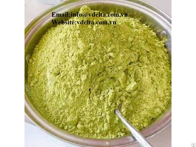 High Quality Avocado Powder Best Price