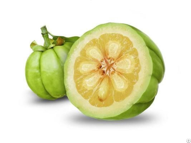 Garcinia Cambogia Extract