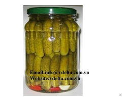 Cucumber Pickles Best Price Viet Nam