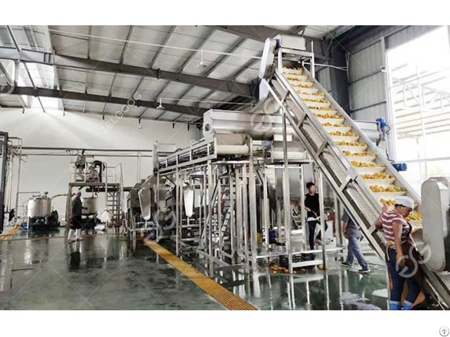 Mango Pulp Processing Unit Cost