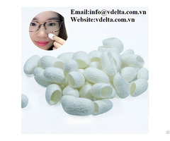 Silkworm Cocoons Shell For Skin Care Viet Nam