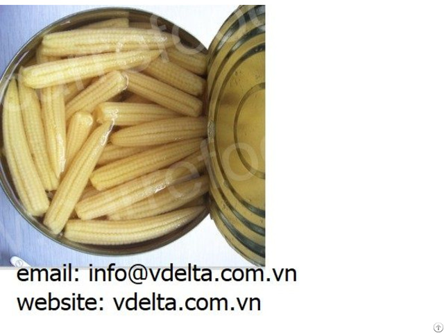 Canned Corn Best Price Brine From Vietnam