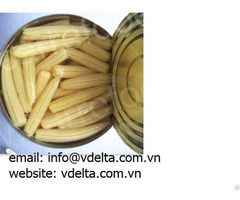 Canned Corn Best Price Brine From Vietnam