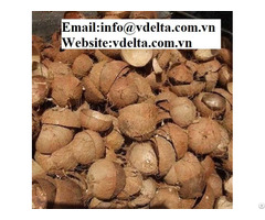 Vietnamese Coconut Shell Very Cheap Price