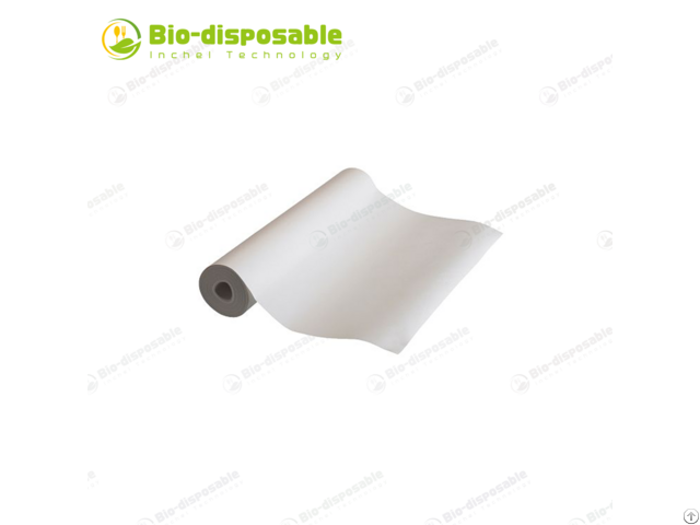 Bio Disposable Packing Paper