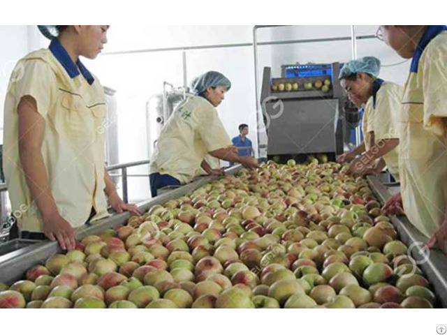 Support Customze Peach Juice Production Line