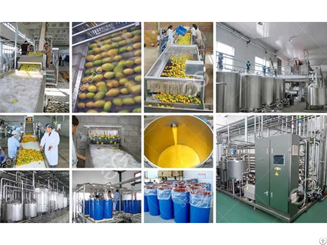 Stainless Steel Mango Juice Production Line