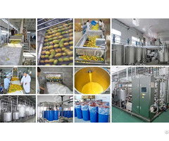 Stainless Steel Mango Juice Production Line